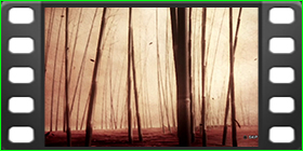 Tekken Tag Tournament 2 Kunimitsu Ending Movie